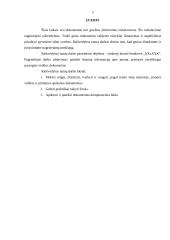 Įmonės X veiklos dokumentai 2 puslapis