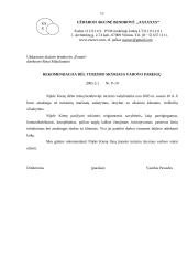 Įmonės X veiklos dokumentai 11 puslapis