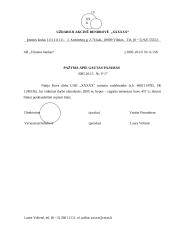 Įmonės X veiklos dokumentai 12 puslapis