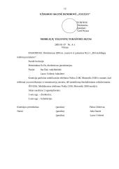 Įmonės X veiklos dokumentai 14 puslapis