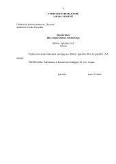 Įmonės X veiklos dokumentai 5 puslapis