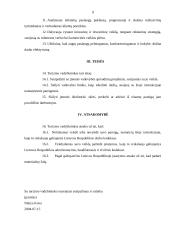 Įmonės X veiklos dokumentai 8 puslapis