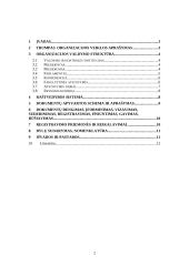Raštvedybos sistemos analizė: VGTU SA 2 puslapis