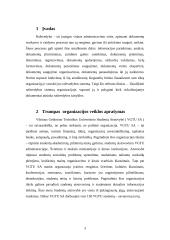 Raštvedybos sistemos analizė: VGTU SA 3 puslapis