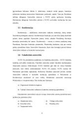 Raštvedybos sistemos analizė: VGTU SA 6 puslapis
