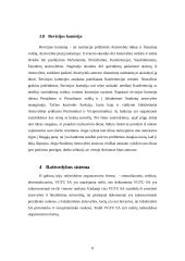 Raštvedybos sistemos analizė: VGTU SA 8 puslapis