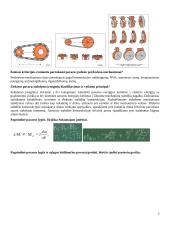 Elektros pavarų kolio konspektas 2 puslapis