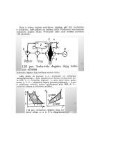 Termodinamikos egzamino konspektas 16 puslapis