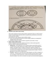 Elektromechanikos egzamino konspektas 4 puslapis