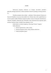 Rekreacinės programos sudarymas: Vaikų žygis Nemunu 2 puslapis