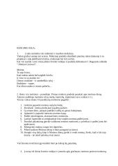 Renginio planas: "Myliu tave, mamyte" 2 puslapis