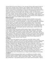 Literatūros konspektas egzaminui 2 puslapis