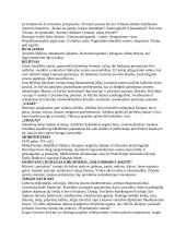 Literatūros konspektas egzaminui 4 puslapis