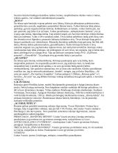 Literatūros konspektas egzaminui 5 puslapis