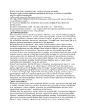 Literatūros konspektas egzaminui 6 puslapis