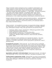 Finansų kontrolė. Teorija 11 puslapis