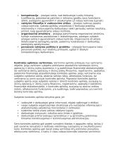 Finansų kontrolė. Teorija 20 puslapis