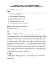 Renginio planas: "Surenk draugui gimimo dieną"