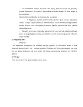 Renginio planas: "Surenk draugui gimimo dieną" 3 puslapis