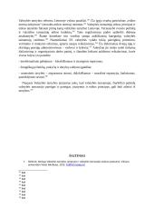 Valstybės tarnybos instituto raida Lietuvoje 10 puslapis