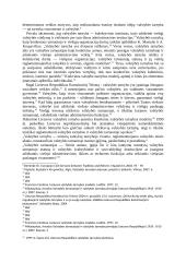 Valstybės tarnybos instituto raida Lietuvoje 3 puslapis