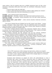 „Livin“ įmonės motyvavimo sistemos vertinimas darbuotojų požiūriu 9 puslapis