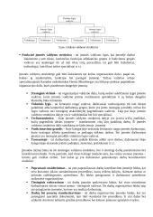 „Livin“ įmonės motyvavimo sistemos vertinimas darbuotojų požiūriu 11 puslapis