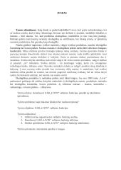 „Livin“ įmonės motyvavimo sistemos vertinimas darbuotojų požiūriu 2 puslapis