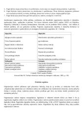 „Livin“ įmonės motyvavimo sistemos vertinimas darbuotojų požiūriu 5 puslapis