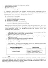 „Livin“ įmonės motyvavimo sistemos vertinimas darbuotojų požiūriu 6 puslapis