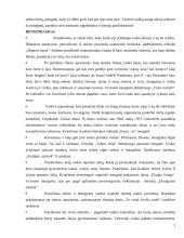 Renginio scenarijus: Tarptautinė Taikos diena "Skrisk, taikos balandėli" 2 puslapis