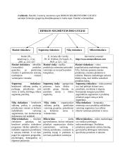 Rinka ir jos segmentavimas 2 puslapis