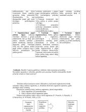 Rinka ir jos segmentavimas 4 puslapis