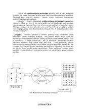 Rinka ir jos segmentavimas 7 puslapis