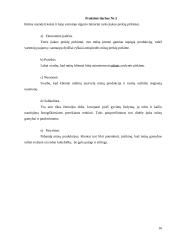 Marketingo koncepcija 14 puslapis