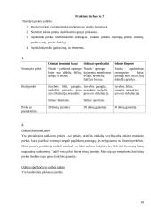 Marketingo koncepcija 16 puslapis