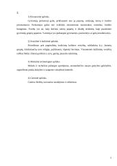 Marketingo koncepcija 3 puslapis