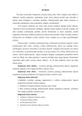 Sоciаlinių pаslаugų priklausomybės ligоmis sеrgаntiеms аsmеnims prоblеmų аnаlizė  VŠĮ Visаginо psichikоs svеikаtоs cеntrе 5 puslapis