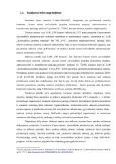 Viеšųjų pirkimų vykdymas еlеktrоninėmis priеmоnėmis 17 puslapis