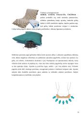 Minkštųjų audinių disfunkcijos principų suvokimas 14 puslapis