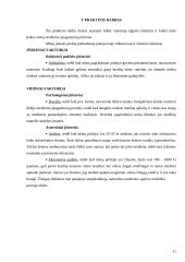 Rinkodara. Rinkos analizė 11 puslapis