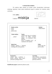 Rinkodara. Rinkos analizė 12 puslapis