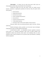 Rinkodara. Rinkos analizė 5 puslapis