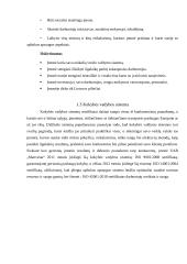 UAB “Manvesta“ 50 naujų darbuotojų iš trečiųjų šalių integracija per įdarbinimo agentūrą 6 puslapis