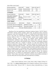 Rinkodaros planas: didmeninė prekyba cheminėmis žaliavomis ir druska 12 puslapis