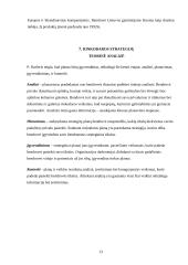 Rinkodaros planas: didmeninė prekyba cheminėmis žaliavomis ir druska 13 puslapis