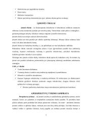 Rinkodaros planas: didmeninė prekyba cheminėmis žaliavomis ir druska 5 puslapis