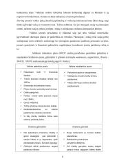 Rinkodaros planas: didmeninė prekyba cheminėmis žaliavomis ir druska 6 puslapis