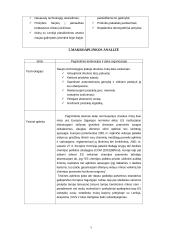 Rinkodaros planas: didmeninė prekyba cheminėmis žaliavomis ir druska 7 puslapis