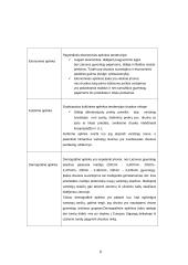 Rinkodaros planas: didmeninė prekyba cheminėmis žaliavomis ir druska 8 puslapis